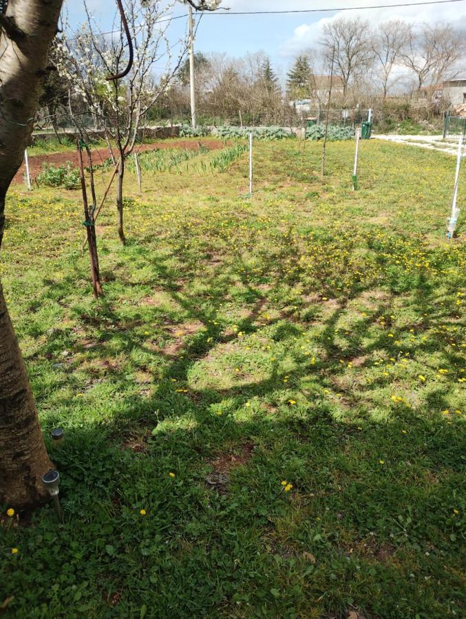 Apartman Enia Murvica  Esterno foto